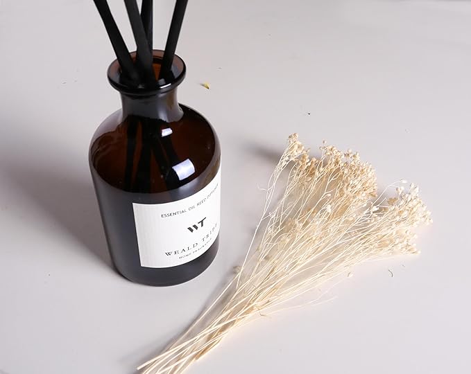 WEALD TRIBE Reed Diffuser Set for Bathroom Air Fresheners, Oil Diffuser Sticks | White Jasmine Scent 4.0 fl oz Home Fragrance with Sticks Defusers | House Bedroom Office Shelf Decor - Bloomnest