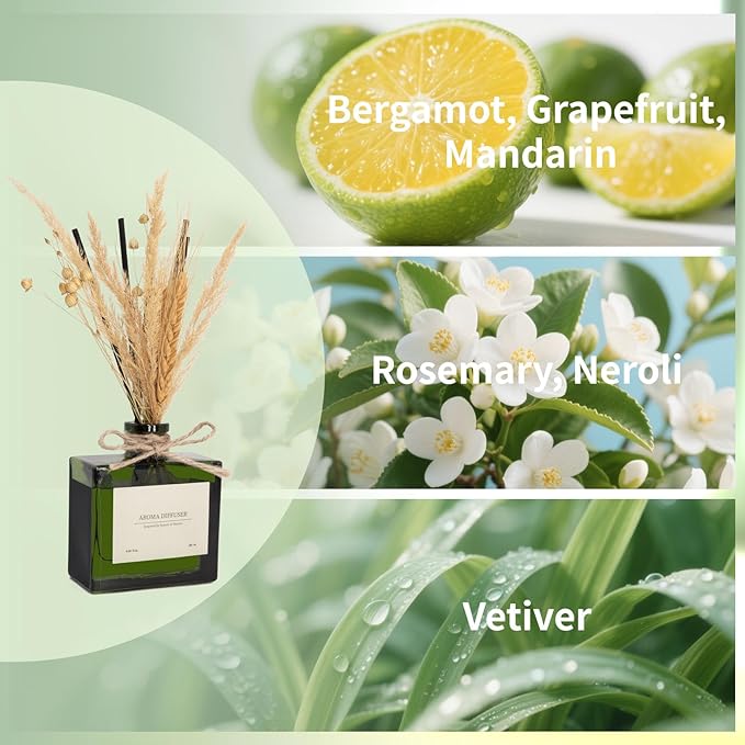 Reed Diffuser, 6.09 oz Citrus Grove Scent Diffuser with Sticks & Dried Flowers, 120 Days Long Lasting Diffusers for Home, Elegant Fragrance for Bathroom Bedroom Office Decor Air Fresh - Bloomnest