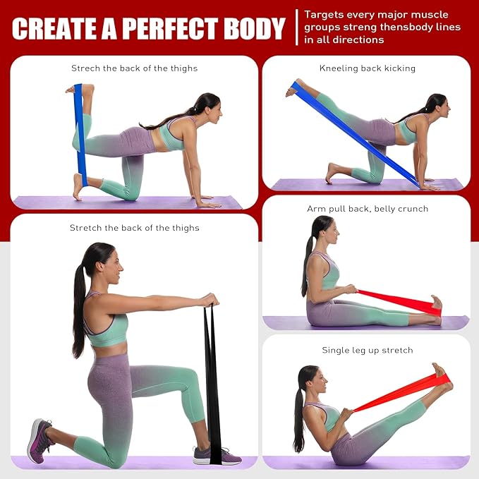 Resistance Bands, Exercise Bands, Physical Therapy Bands for Strength Training, Yoga, Pilates, Stretch Elastic Band with Different Strengths, Workout Bands for Home Gym - Bloomnest