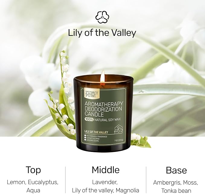 Odor Eliminating Candle, Lily of The Valley Scented Candle, Pet-Friendly Soy Candles, 60 Hours, 7 oz - Bloomnest