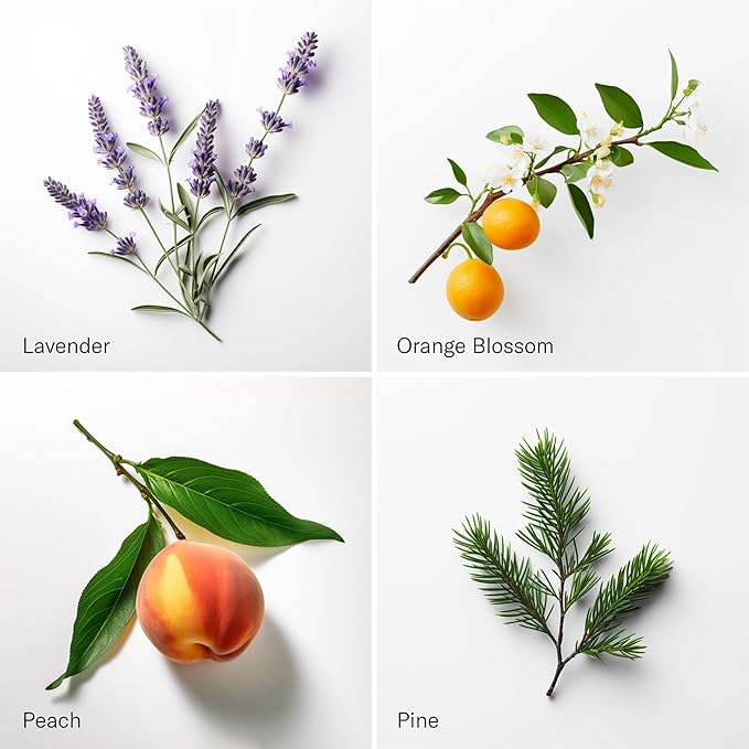 AromaTech The Hotel & White Tea & Thyme Set | Aroma Diffuser Essential Oils Blend of Peach, Red Rose, Pine, White Tea, Thyme, Amber - 120 Milliliter - Bloomnest
