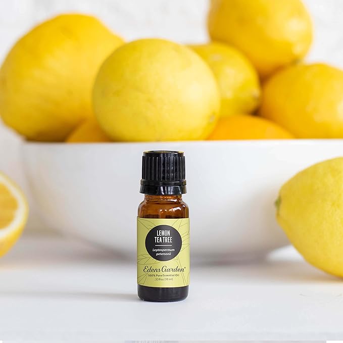 Edens Garden Lemon Tea Tree Essential Oil- 100% Pure Premium Grade, Undiluted, Natural, Therapeutic, Aromatherapy, The Best for Diffuser, Candle, Humidifiers, Kid Safe 10 ml (.33 fl oz) EdensGarden