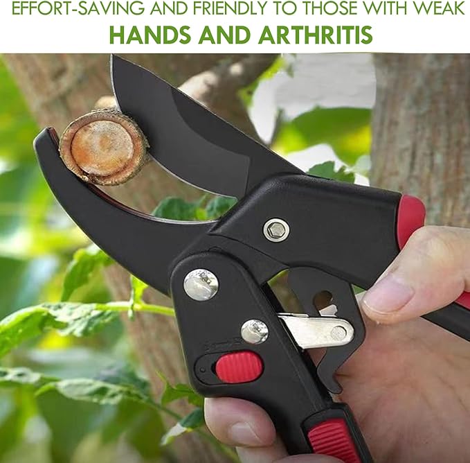 Garden clippers, premium Germany pruners, Work 3 times easier, professional ratchet pruning shears, cutting rose, flower, hedge, stem, tree, Sharp gardening scissors, Arthritis weak hand snips - Bloomnest