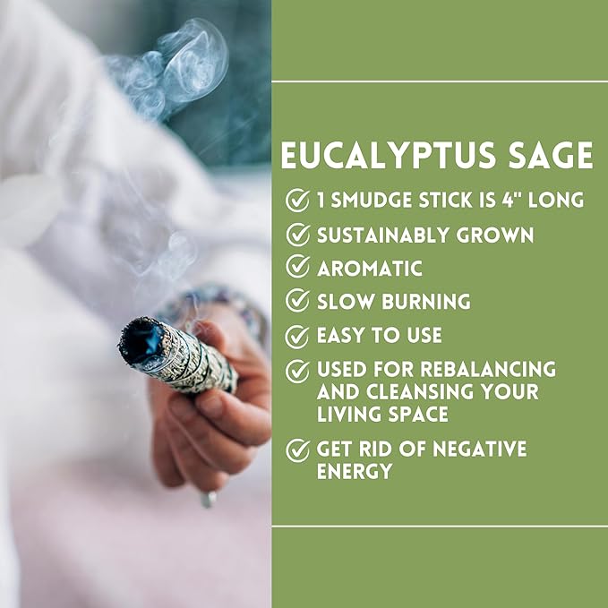 Ancient VEDA Healer's Kit: Complete Sage Smudge Kit Bundle w/Abalone Shell, Palo Santo, Sweetgrass, Turkey Feather & Guidebook – Spiritual and Energy Cleansing, Ritual Supplies, Smudging Essentials AncientVeda