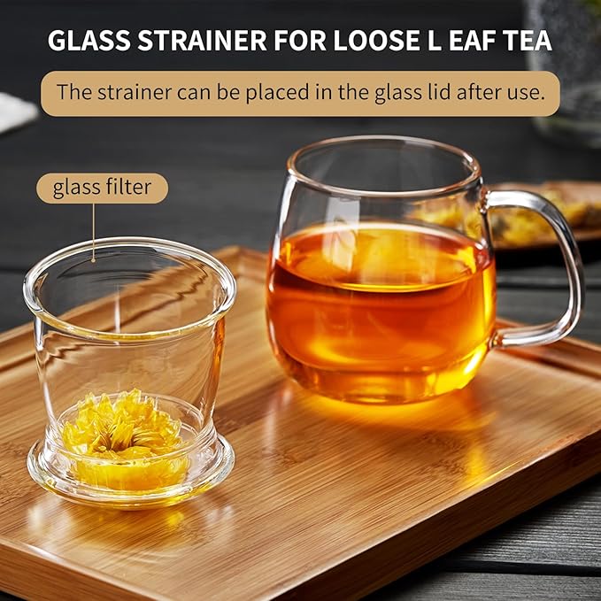 Large Glass Tea Cup, 25.6 oz Borosilicate Glass Tea Mug with Infuser and Lid, Clear Tea Cups for Brewing Scented Tea and Tea Bag - Bloomnest