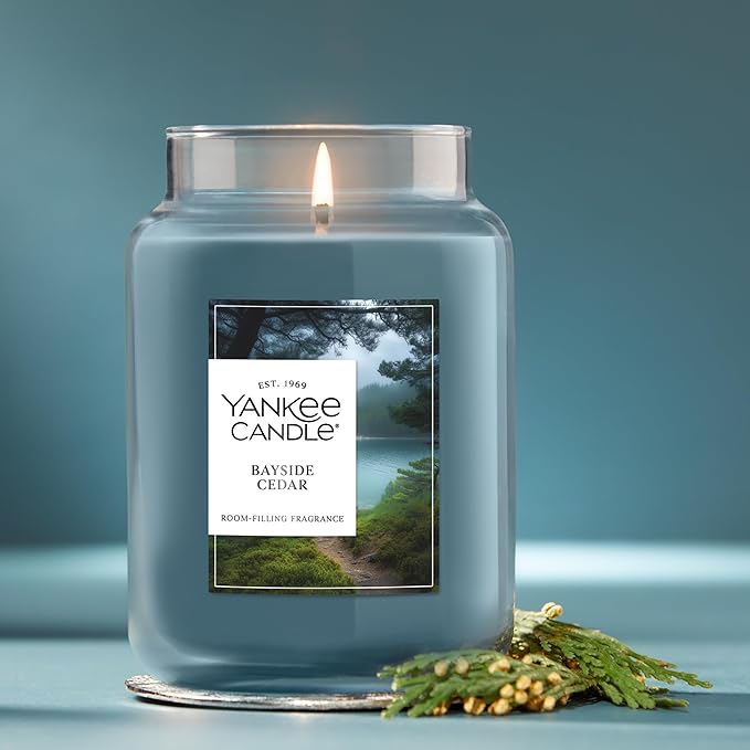 Yankee Candle Bayside Cedar Scented Candle, 22oz Large Jar with up to 150 Hour Burn Time, Giftable - Bloomnest