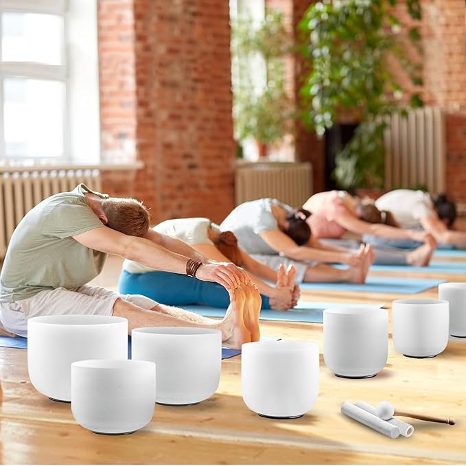 Ryan Dvan 432Hz 7-12 Inch 7 Chakra Crystal Singing Bowl Set Frosted Quartz Crystal Sound Therapy Kit with Suede Mallets 2 Travel Cases O-Ring Tool for Yoga Meditation Energy Balancing Reiki Healing - Bloomnest