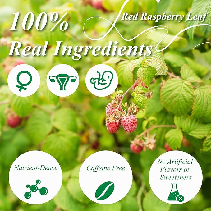 WT WEETEE Red Raspberry Leaf Tea Bags, 60 Count Corn Fibre, Pure Cut & Sifted Raspberry Leaves, No Sugar, No Caffeine, Natural Pregnancy Tea - Bloomnest