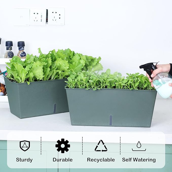 Window Box Planter 6 Pcs, 16.5 Inches Self Watering Rectangle Flower Plant Pots with Drainage Holes Trays, Vegetable Planters for Windowsill Patio Garden Balcony Porch Yard (Dark Green) - Bloomnest
