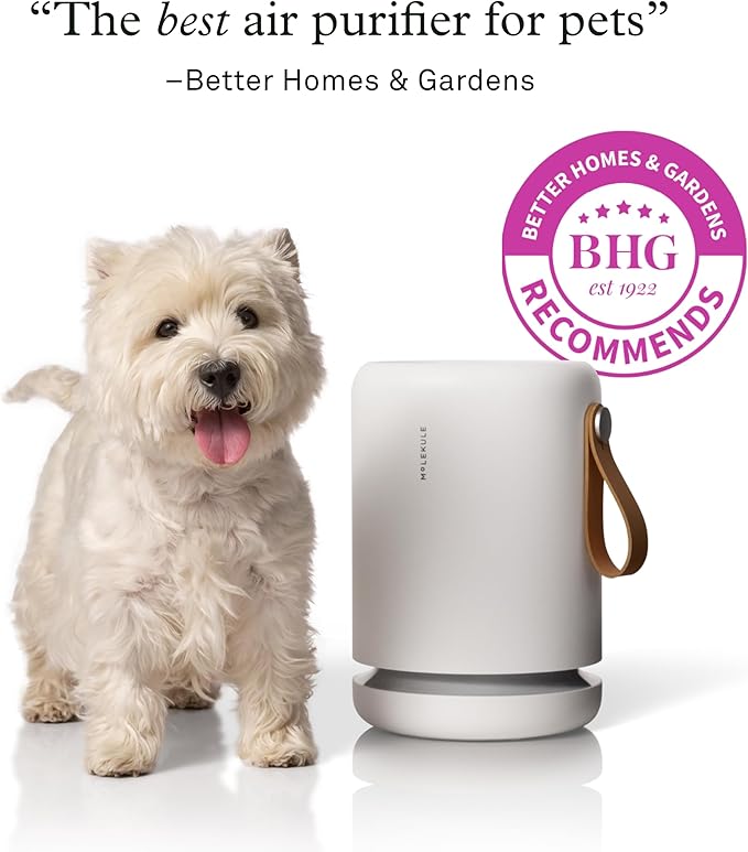 Molekule Air Purifier Mini+ - Purifies Rooms Up to 250 Sq Ft - Smart Purifier with High Pollutant Capture Rate - Air Quality Monitoring Capabilities - White - Bloomnest