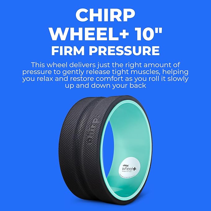 Chirp Wheel Foam Roller – Targeted Back & Neck Relief, Lumbar Spine Stretcher, Spinal Decompression Back Stretcher, Massage Roller with Density Foam for Physical Therapy, Supports 500lbs, 10-Inch Mint