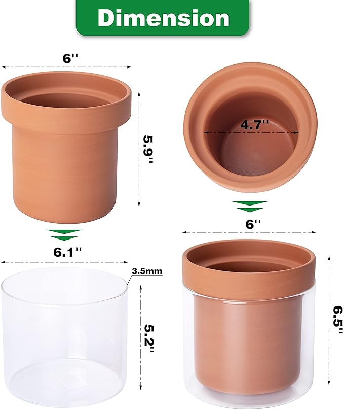 Phoenix Vine 6 Inch Self Watering Planter Pot, Terracotta Clay Pot with Glass Reservoir for Indoor Plants, Herbs, Flowers, Set of 1, 52-A-F-1 - Bloomnest