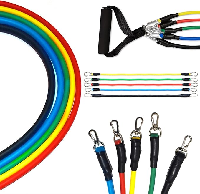 Resistance Bands, Resistance Band Set, Strength Training Fitness Bands, Exercise Bands for Men and Women, Resistance Bands with Handles, Door Anchor, for Shape Body and Home Workouts - Bloomnest