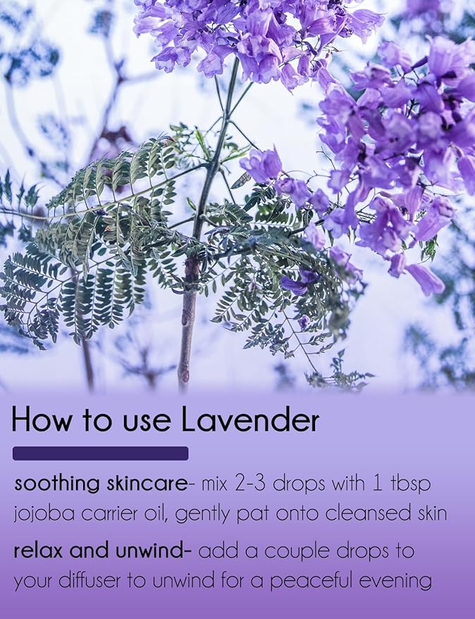 GreenHealth Lavender Essential Oil – 2 fl oz Amber Glass Bottle – 100% Pure & Uncut – Lavender Oil for Diffusers, Aromatherapy, Candles, Soaps, Bath & DIY