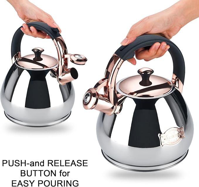 Tea Kettle Stovetop Whistling Kettle Teapot, 3Quart Tea Pot Stainless Steel Teakettle for Stove Top with Heat Proof Ergonomic Handle - Bloomnest