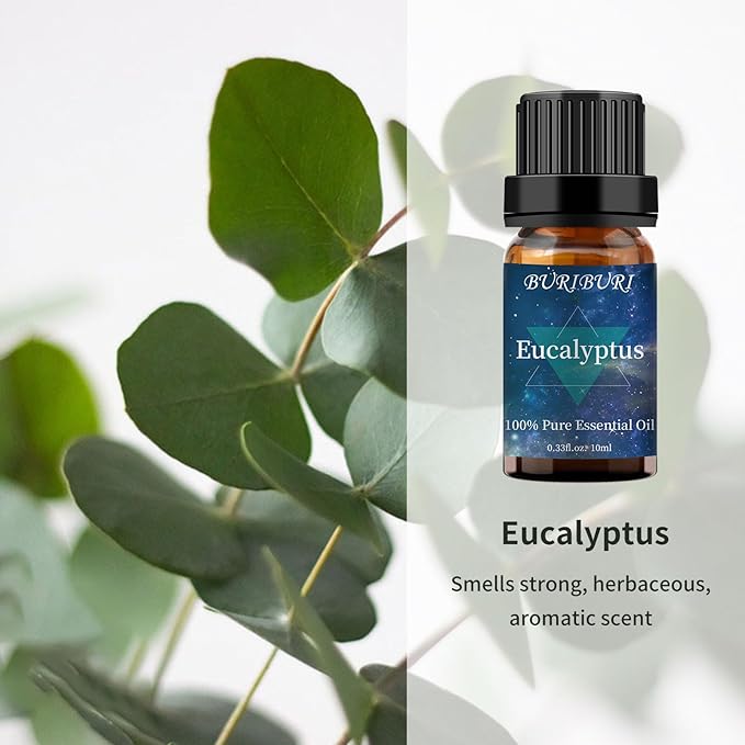 BURIBURI Jasmine Essential OIil and Eucalyptus Oil 2Pack Natural Eucalyptus Essential Oils 10ml for Diffusers (Jasmine+Eucalyptus) BURIBURI