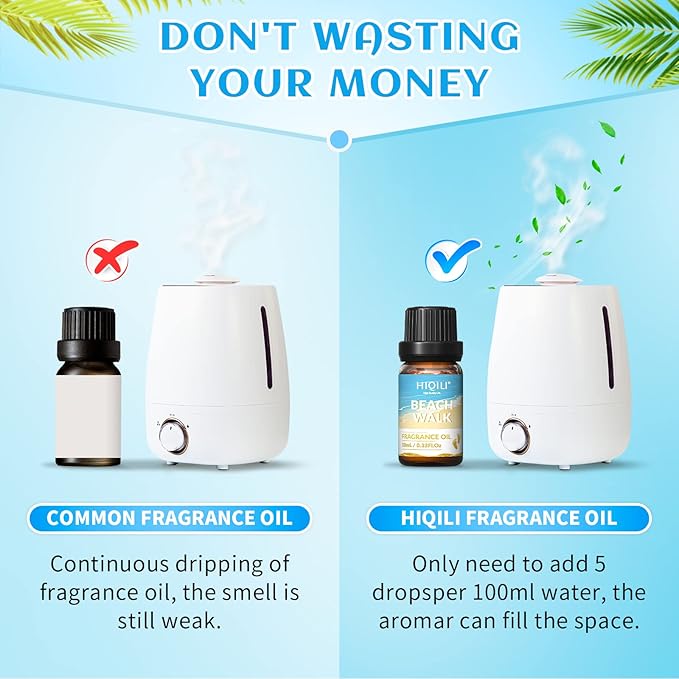 HIQILI Fragrance Oil, Gold Coast 6x10ml for Candle Scents Making, Scented Oils for Soy Candles Soap Slime Aromatherapy Diffuser, Premium Grade Essential Oil Set for Christmas Holiday - Bloomnest