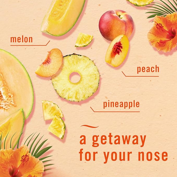 Febreze Small Spaces Air Freshener, Odor-Fighting, Plug In Alternative, Air Fresheners for Home and Bathroom and Kitchen, Closet Air Fresheners, Hawaiian Aloha Scent, 2 Count - Bloomnest