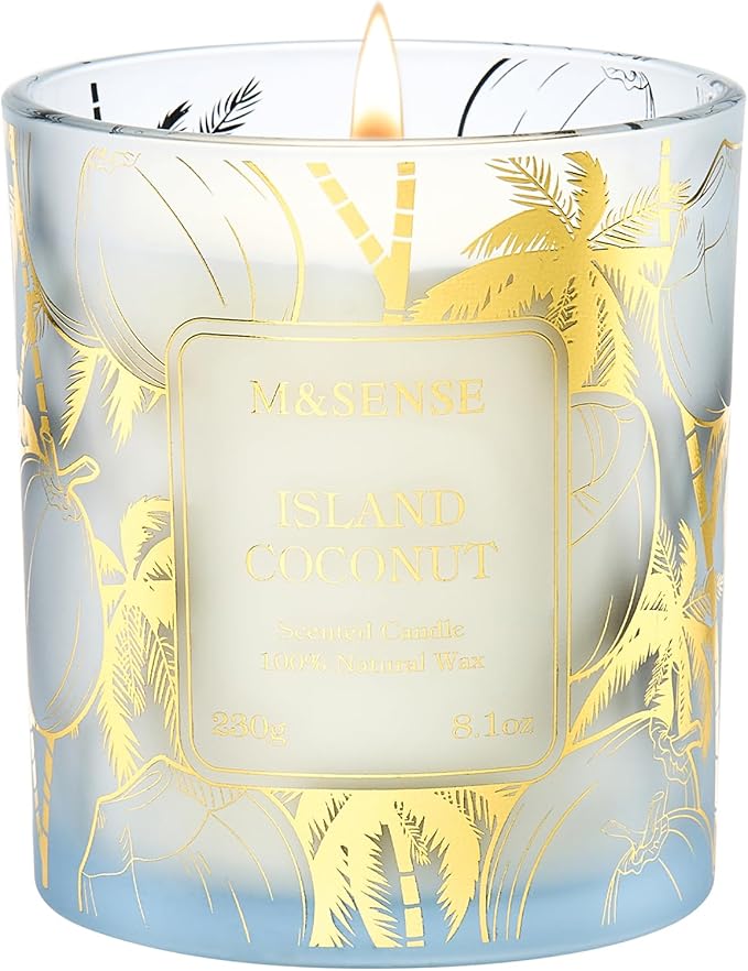 M&SENSE Coconut Candles, 8.1oz 42-Hour Long Burning Time Naturally Scented Candles,Vegan Soy, Relax Stress Relief Meditation Home Fragrance,Housewarming Gifts for Women & Men - Bloomnest