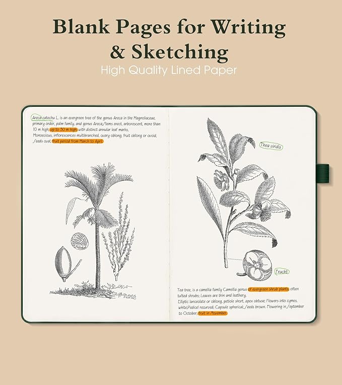 Blank Journal Notebook for Women Men,160 Pages,A5 Hardcover Sketchbook for Drawing, Sketch book, Unlined Notebooks for School,Work, Note Taking,Travel Journals for Writing 5.8"x8.5" (Green) - Bloomnest