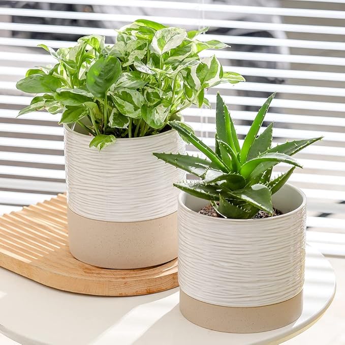 Nihow Self Watering Plant Pot: 6 Inch Ceramic Planter with Drainage Hole & Water Storage Plus for Indoor & Outdoor Plants - Cylinder Round Flower Pot for Succulent/Herbs/Violets - Cream White & Brown - Bloomnest