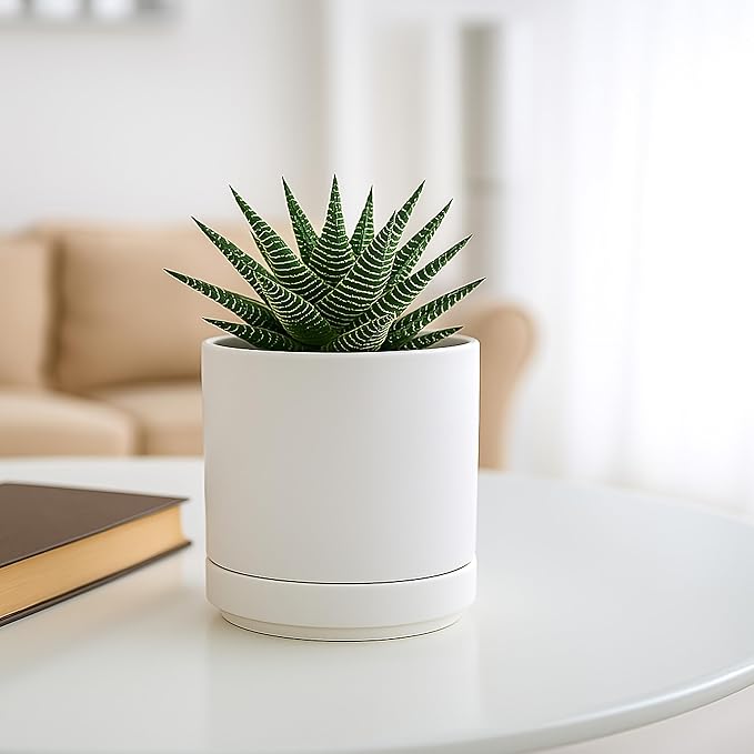 D'vine Dev Set of 2 Plants Pot, 4.7 Inch Ceramic Planter Pot for Plants with Drainage Hole and Saucer, White, 94-V-B-1 - Bloomnest