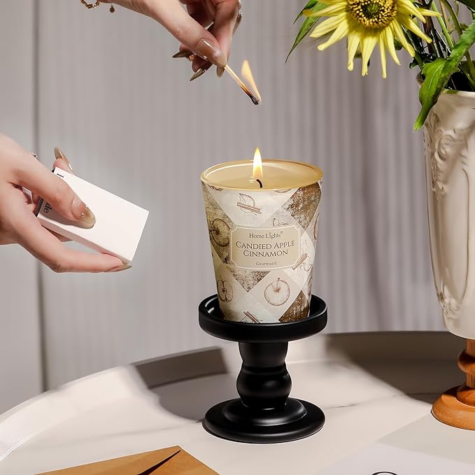 HomeLights Large jar Candle | 1-Wick Long-Lasting Scented Candles, 6.7oz Natural Soy Wax Candle for Home Scented, Rustic Modern Gifts for Women & Men, Candied Apple Cinnamon - Bloomnest