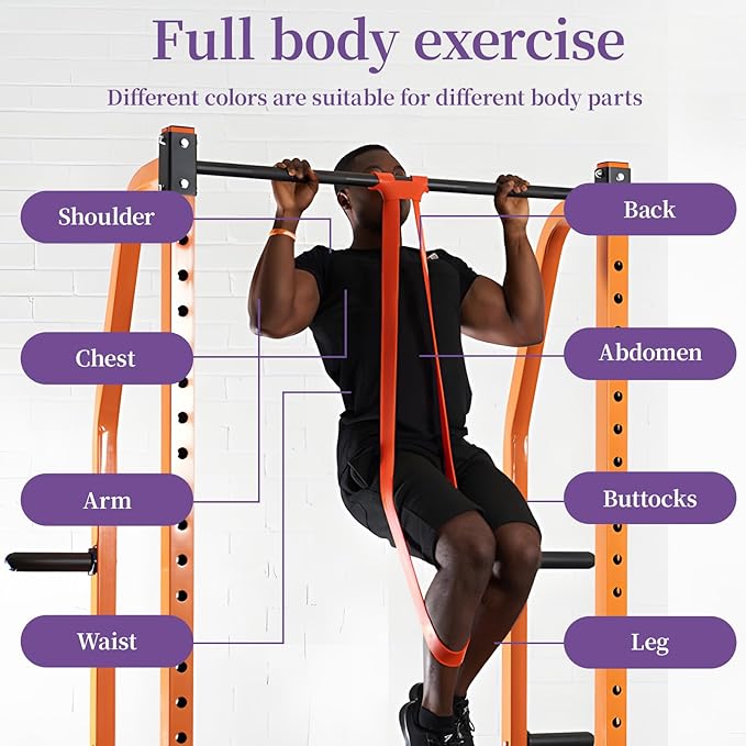 Resistance Bands for Working Out, Pull Up Assistance Bands, Exercise Workout Bands for Men & Women, Gym Bands with Door Anchor & Handle, Stretching Bands for Physical Therapy, Muscle Training - Bloomnest