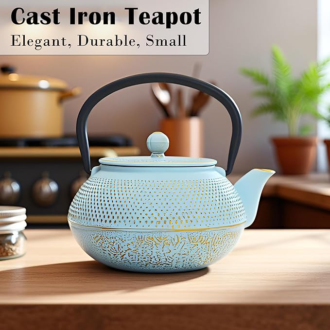 30.4oz Small Cast Iron Teapot, Tea Kettle for Stovetop Safe Coated with Enameled Interior, Japanese Tetsubin, Tea Pot with Stainless Steel Infuser for Loose Tea(900ml) - Bloomnest