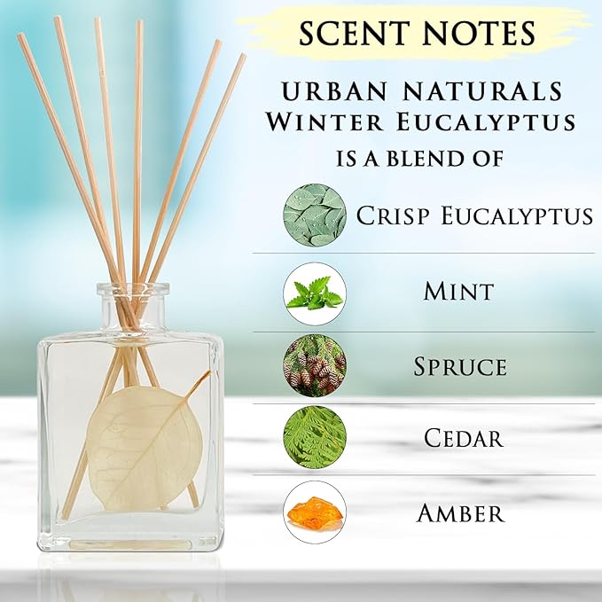 Urban Naturals Winter Eucalyptus Reed Diffuser Gift Set – Crisp Eucalyptus, Mint, Spruce, Cedar, Amber, Virginian Cedarwood – Sleek Rectangular Refillable Glass Bottle – Made in The USA UrbanNaturals