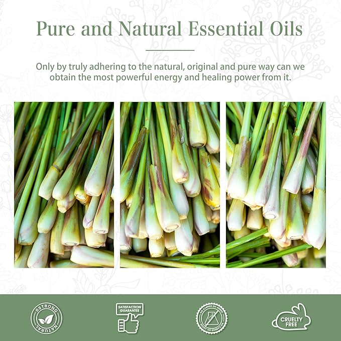 Citronella Essential Oil 1.01fl.oz/30ml, PHATOIL Premium Citronella Oils Long Lasting Scents for Aromatherapy, Diffuser, DIY Soap and Candle Making - Bloomnest