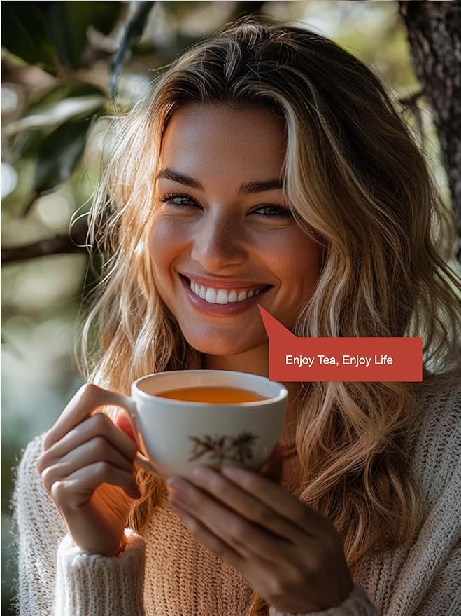 TeeLux Rooibos Tea Bags, Premium Natural Rooibos Herbal Tea, Fruity Sweet Flavor, Caffeine-free, 100 Count - Bloomnest
