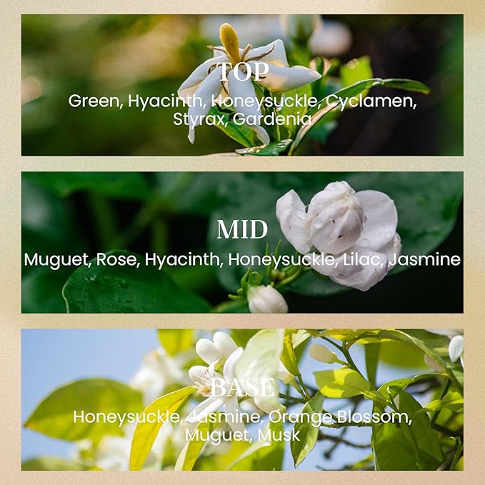 M&SENSE White Gardenia Candles for Home Scented, 2 Wick 12.7oz Soy Wax Candles Non Toxic,70 Hours Long Burning,Luxury Candles Gift for Stress Relief, Meditation, Yoga - Bloomnest