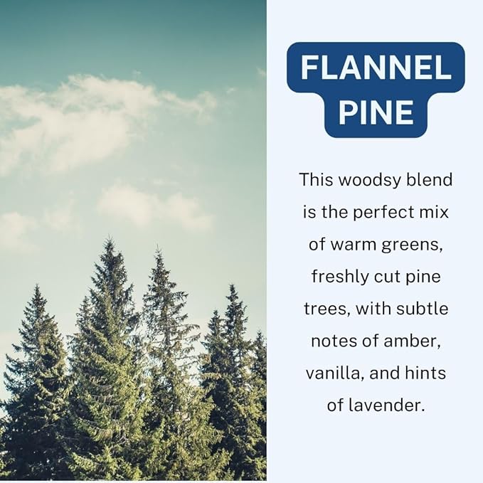 C&E Craft Co Hanging Car Air Freshener Diffuser 2 Pack, Long Lasting Fragrance Oil Car Freshener, Glass Bottle Auto Air Freshener, Made in USA (Flannel Pine) - Bloomnest