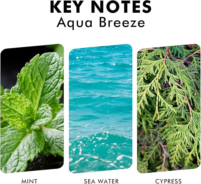 Reed Diffuser Set, Aqua Breeze Scented Oil Diffuser with Sticks, Long-Lasting Home Fragrance Reed Diffusers for Bathroom Office Shelf, Room Fresheners 3.7 Oz - Bloomnest