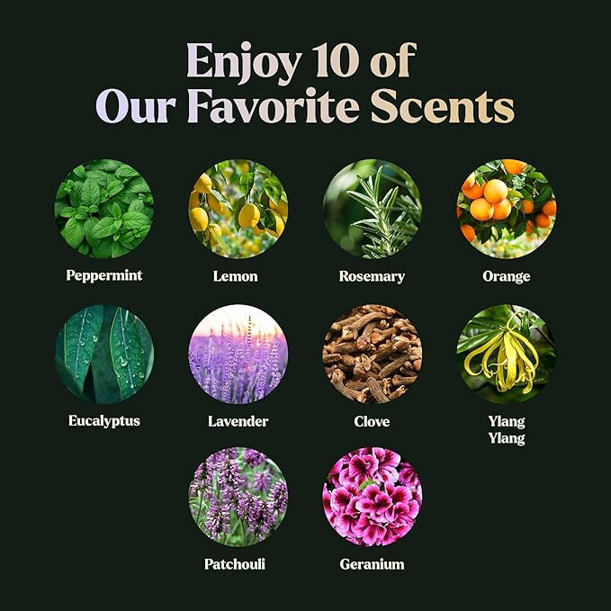 Essential Oils Set - Top 10 Gift Set Blends for Fragrance, Diffusers, Humidifiers, Aromatherapy, Cars & Home Products, Room Sprays, Candle Making, Yoga - Fragrance Oils for Botanical Fresheners Making - Bloomnest