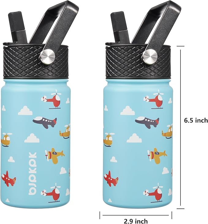 BJPKPK Water Bottle with Straw Lid, 15 oz Insulated Water Bottle, Stainless Steel Metal Water Bottles, Reusable Leak Proof BPA Free Thermo, Flask, Cups, Aircraft - Bloomnest