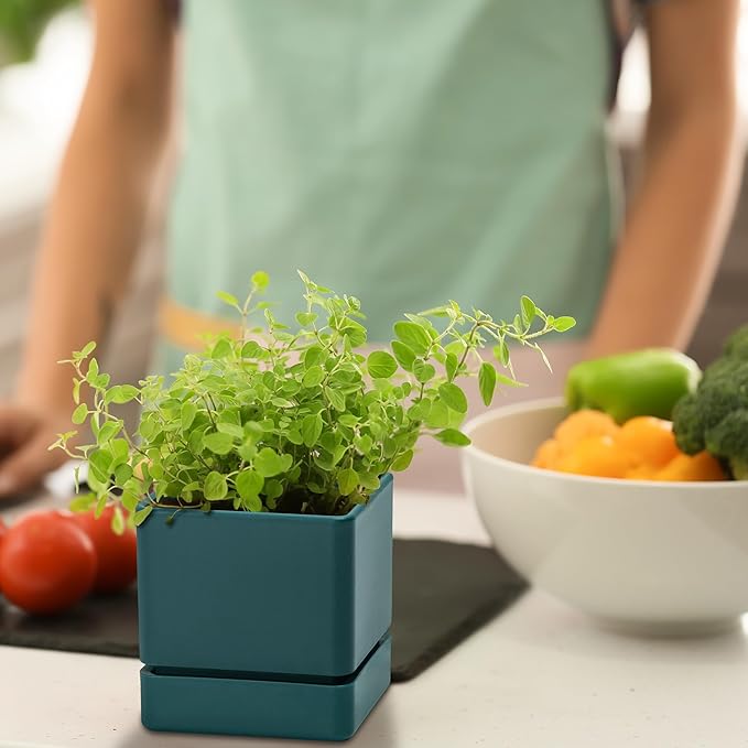 4 Inch Herb Planter Pot, Plastic Planter with Drainage Holes and Saucer, Modern Decorative Gardening Pot for Indoor Plants, Flowers, Herbs, Succulents, Green, Set of 1, 76-Y-C-1 - Bloomnest