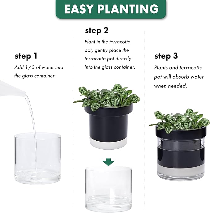Phoenix Vine 4 Inch Self Watering Planter Pot, Black Terracotta Clay Pot with Glass Reservoir for Indoor Plants, Herbs, Flowers, Set of 2, 52-C-E-2 - Bloomnest