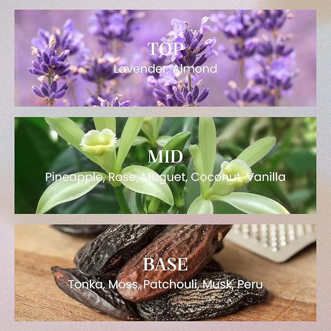 M&SENSE Lavender Vanilla Candles for Home Scented, 2 Wick 12.7oz Soy Wax Candles Non Toxic,70 Hours Long Burning,Luxury Candles Gift for Stress Relief, Meditation, Yoga - Bloomnest