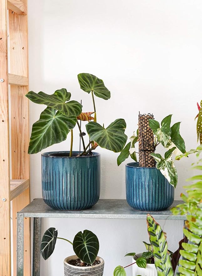 LE TAUCI Fluted Ceramic Planters Set of 3 – 8.3/7 / 5.7 in Ocean Blue Reactive Cylinder Indoor Plant Pots with Drainage Plug & Mesh, Glossy Stoneware Flower Pots for Succulents Herbs - Bloomnest