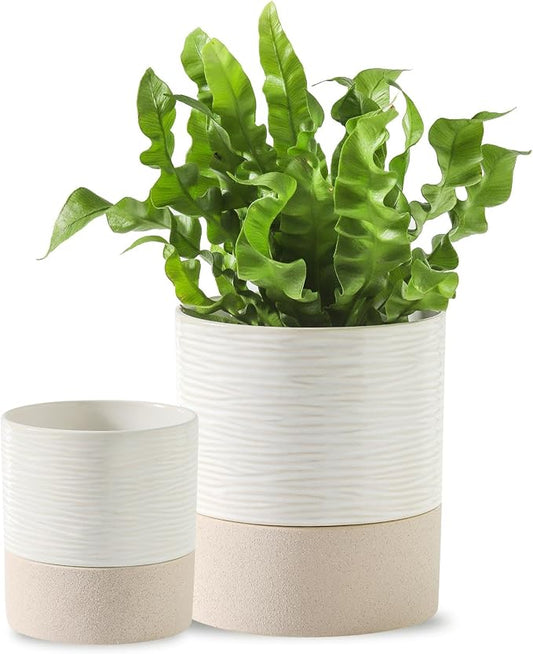 Nihow Self Watering Plant Pot for Indoor Plants: 4.5+6 Inch Ceramic Planter with Drainage Hole & Water Storage Plus - Cylinder Flower Pot with Wick for Herbs -White & Brown - Bloomnest
