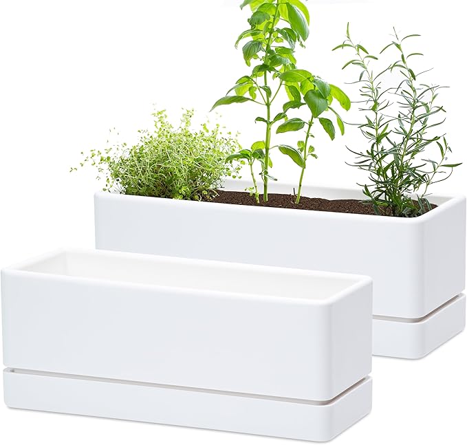 D'vine Dev 12 Inch Window Box Planter, Rectangle Plastic Herb Planter with Drainage Holes and Saucer, Indoor Succulent Cactus Vegetable Pot for Windowsill, Garden Balcony, White, Set of 2, 76-X-A-2 - Bloomnest