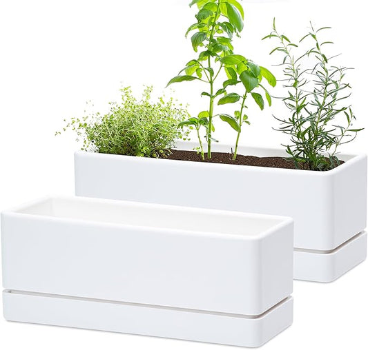D'vine Dev 12 Inch Window Box Planter, Rectangle Plastic Herb Planter with Drainage Holes and Saucer, Indoor Succulent Cactus Vegetable Pot for Windowsill, Garden Balcony, White, Set of 2, 76-X-A-2 - Bloomnest