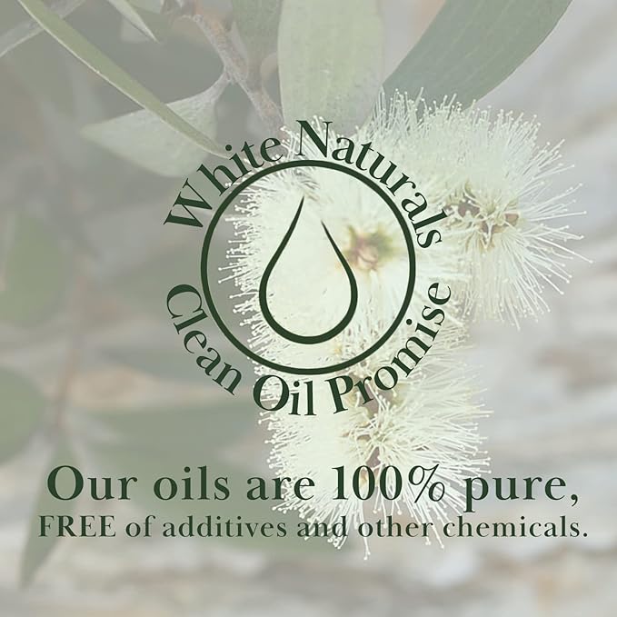Organic Niaouli Essential Oil - 100% Pure & Natural -Premium Therapeutic Grade with Premium Glass Dropper - Undiluted Natural/Homeopathic Aromatherapy Scented, Great for DIY Candle Making, Massage - Bloomnest
