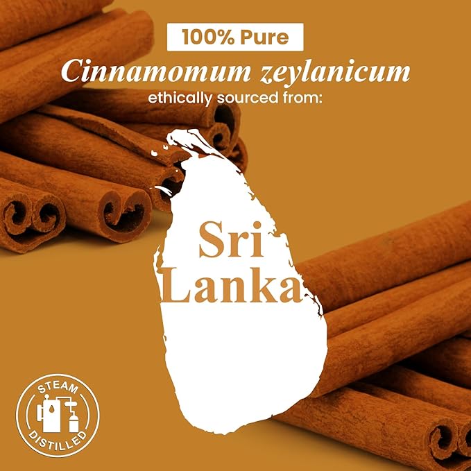 Handcraft Blends Cinnamon Essential Oil – Huge 4 Fl Oz – 100% Pure and Natural – Premium Grade Essential Oil for Diffuser and Aromatherapy, Skin, Massage, Candle and Soap Making Fragrance - Bloomnest