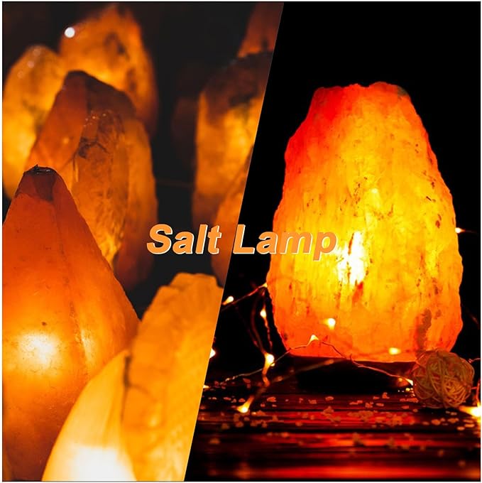 Christmas Tree Lighting 3W E12 Dryer LED Bulb 120V S6 Water Ice Dispenser, Dryer Drum, Night Light, Salt Lamp, Warm White 2700K Appliance Bulb, Non-dimmable, Pack of 2 - Bloomnest