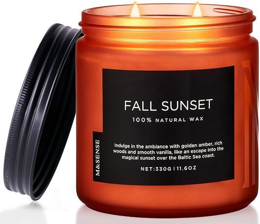 M&SENSE Baltic Amber Fall Scented Candle, 11.6oz Clean Natural Soy Wax Non Toxic Up to 70 Hours Burn Time 2 Cotton Wick Housewarming Candle for Home Scented - Bloomnest
