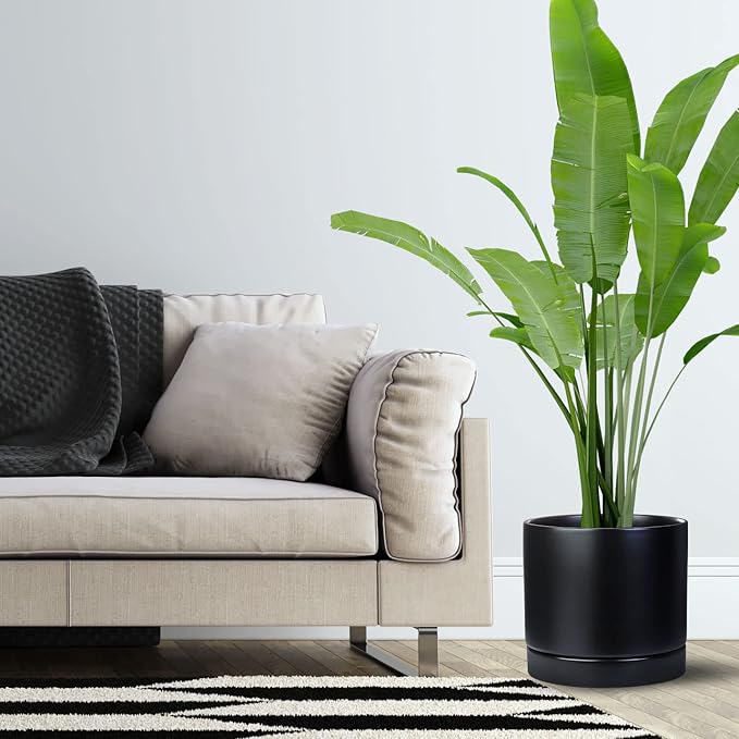 Aveyas 10 inch Ceramic Plant Pot with Drainage Hole and Saucer - Suitable for Indoor and Outdoor Use, Modern Planters for House Garden Flower Tree Snake Monstera Plants (10", Matte Black) - Bloomnest