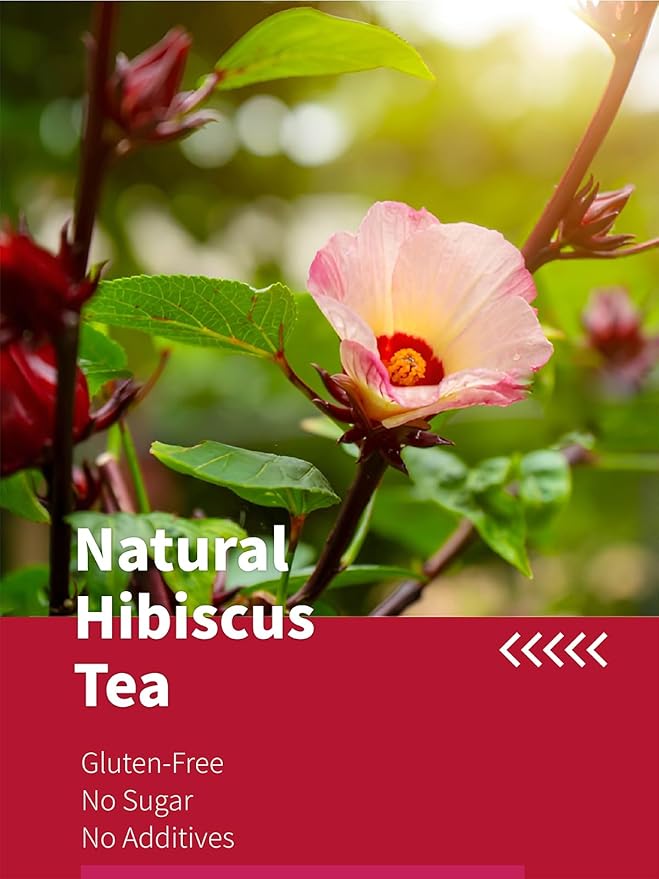 HYNTMYT Hibiscus Tea Bags, Premium Hibiscus Flowers Tea, Bright & Tart Flavor, Caffeine Free, 120 Count - Bloomnest